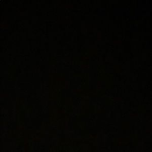 Meet your Posher, Ellie